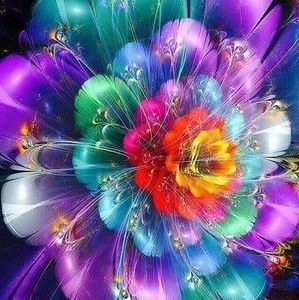 Meet your Posher, Dalila